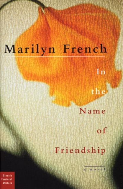 In the Name of Friendship : A Novel, Hardback Book
