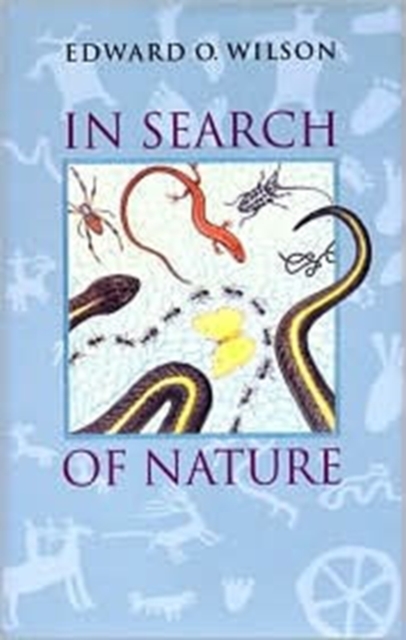 In Search of Nature, Paperback / softback Book
