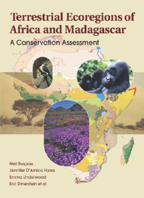 Terrestrial Ecoregions of Africa and Madagascar : A Conservation Assessment, Hardback Book