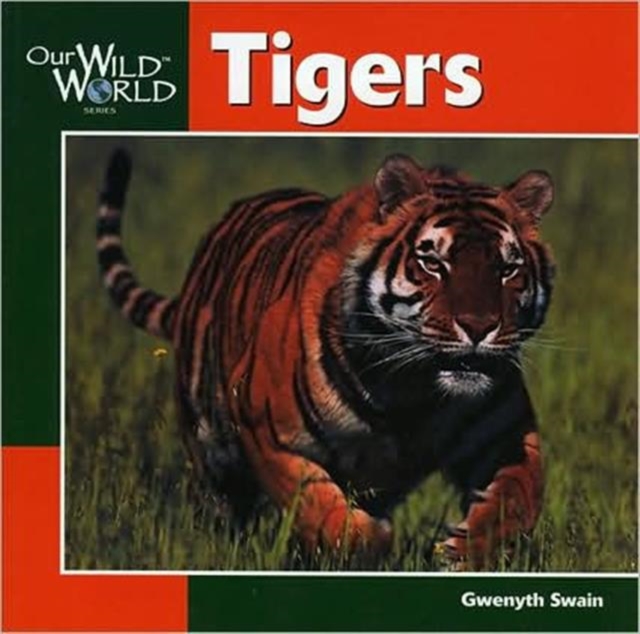 Tigers, Paperback / softback Book