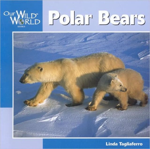 Polar Bears, Paperback / softback Book