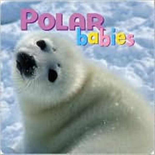 Polar Babies, Board book Book