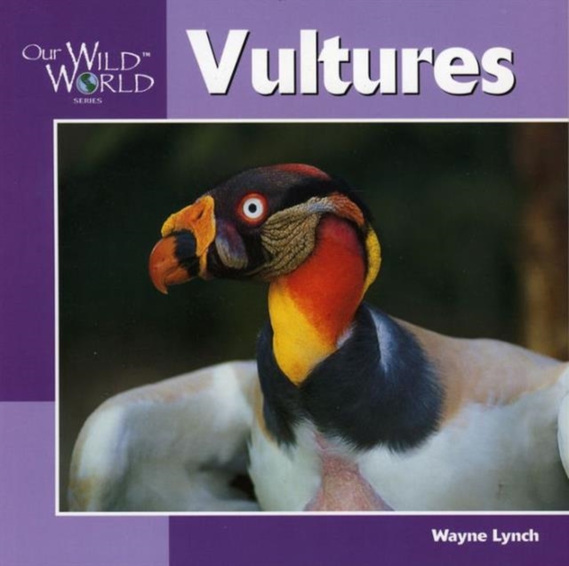 Vultures, Hardback Book