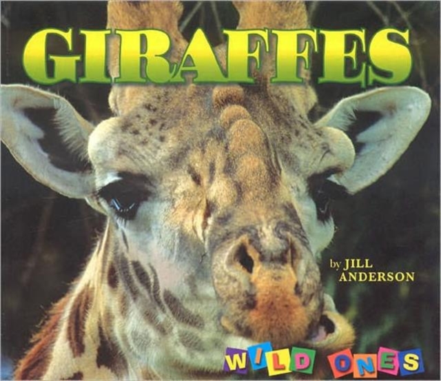 Giraffes, Hardback Book