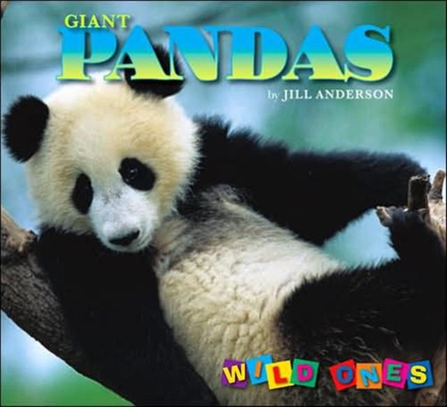 Giant Pandas, Paperback / softback Book