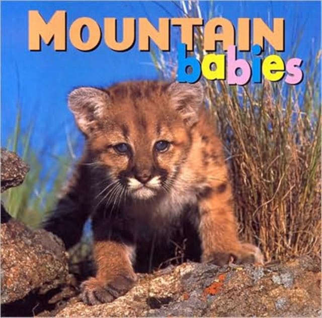 Mountain Babies, Board book Book