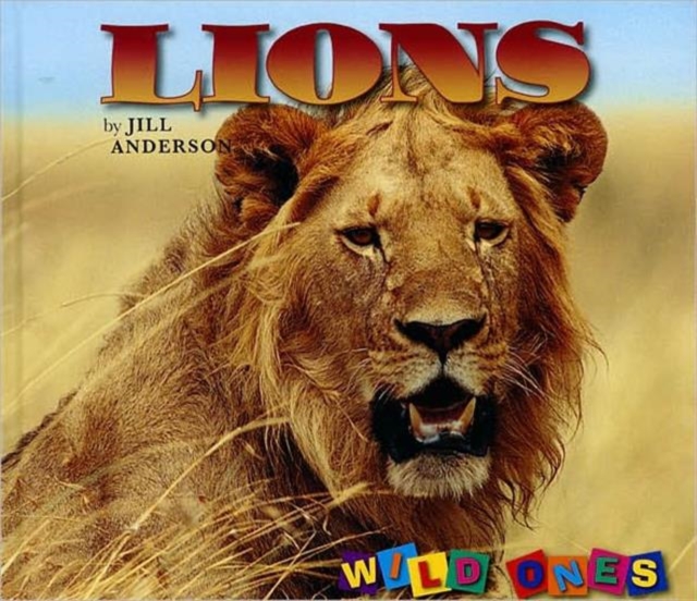 Lions, Hardback Book