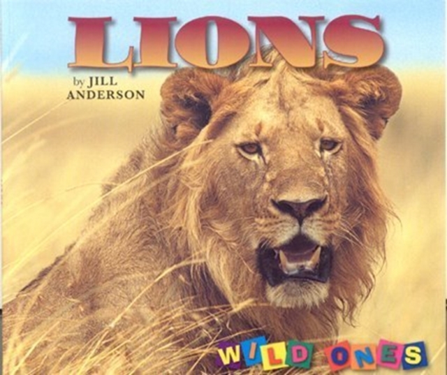 Lions, Paperback / softback Book