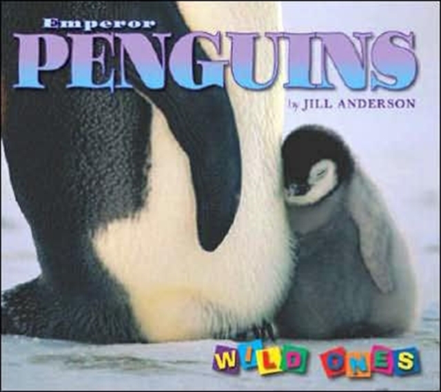 Emperor Penguins, Hardback Book