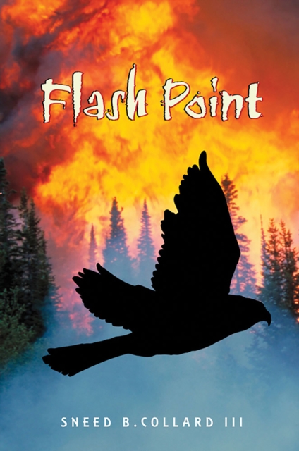 Flash Point, EPUB eBook
