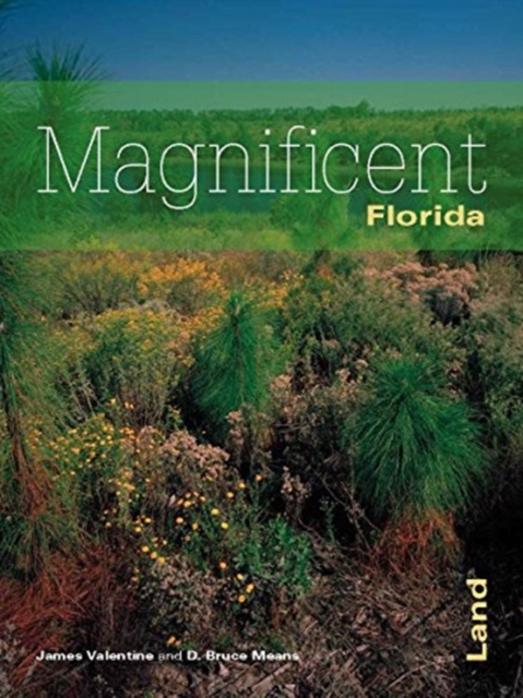 Florida's Magnificent Land, Paperback / softback Book