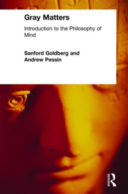 Gray Matters: Introduction to the Philosophy of Mind : Introduction to the Philosophy of Mind, Hardback Book