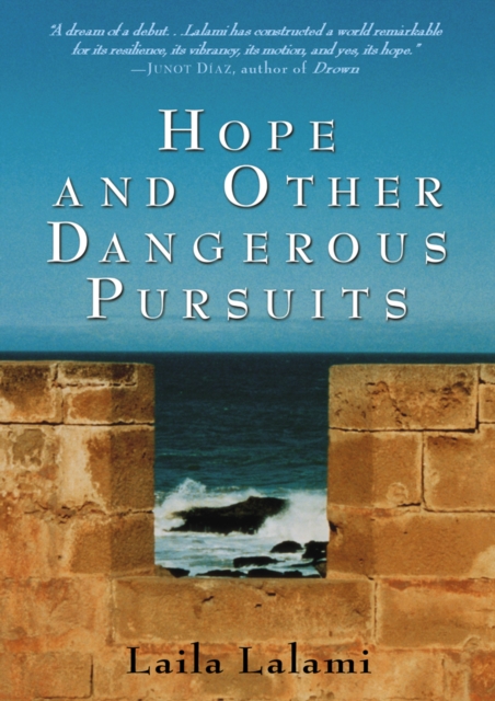 Hope and Other Dangerous Pursuits, EPUB eBook