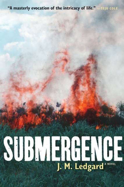 Submergence : A Novel, EPUB eBook