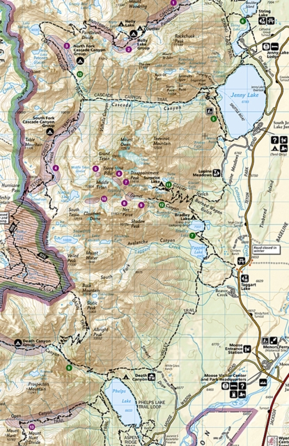 Grand Teton National Park : Trails Illustrated National Parks, Sheet map, folded Book