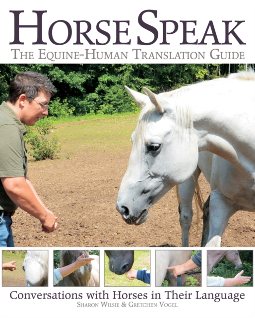 Horse Speak: An Equine-Human Translation Guide : Conversations with Horses in Their Language, Paperback / softback Book