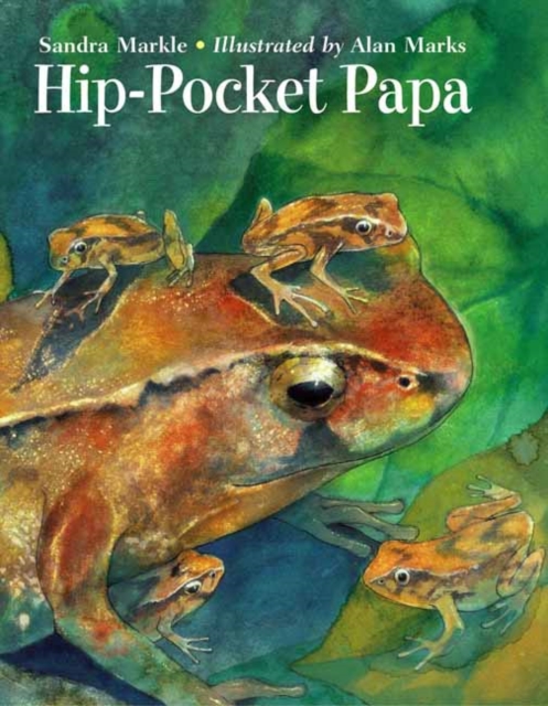 Hip-Pocket Papa, Paperback / softback Book