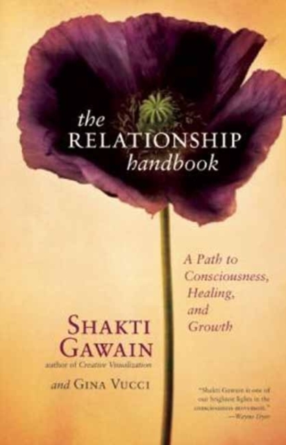 The Relationship Handbook : A Path to Consciousness, Healing, and Growth, Paperback / softback Book
