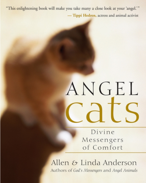 Angel Cats : Divine Messengers of Comfort, EPUB eBook