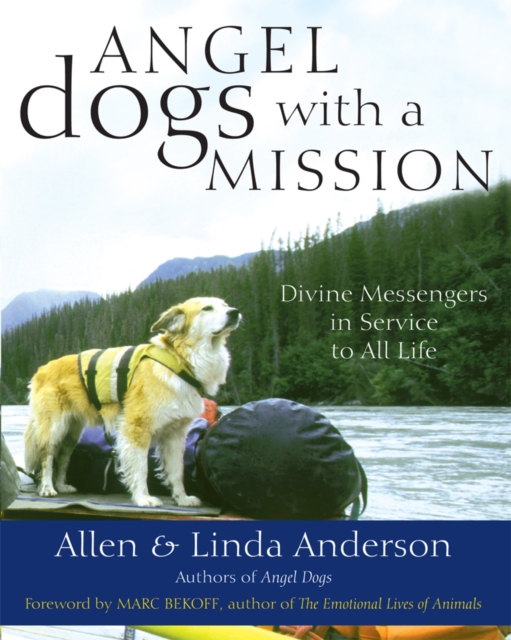 Angel Dogs with a Mission : Divine Messengers in Service to All Life, EPUB eBook