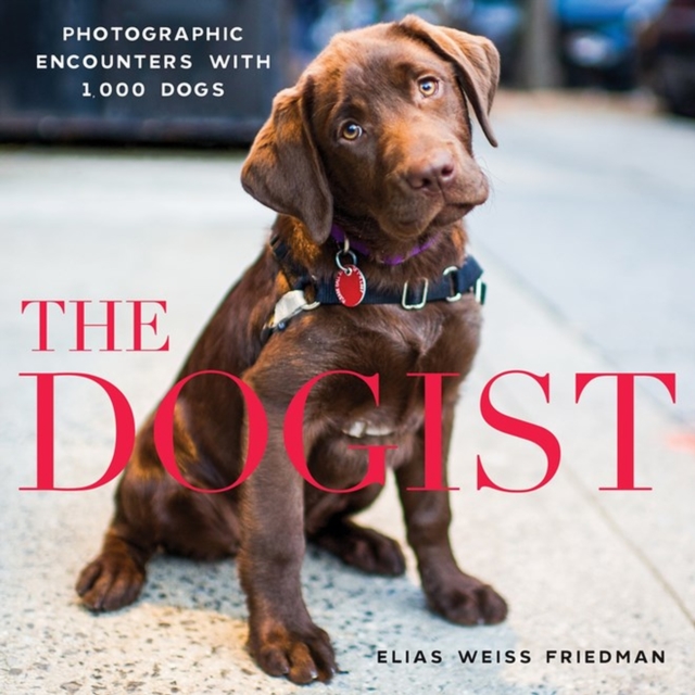 The Dogist : Photographic Encounters with 1,000 Dogs, Hardback Book