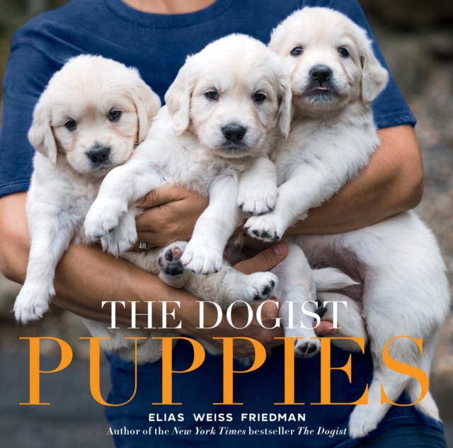 The Dogist Puppies, Hardback Book