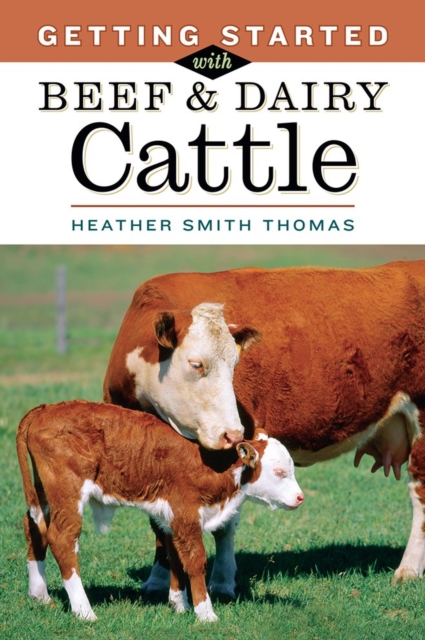 Getting Started with Beef & Dairy Cattle, Paperback / softback Book
