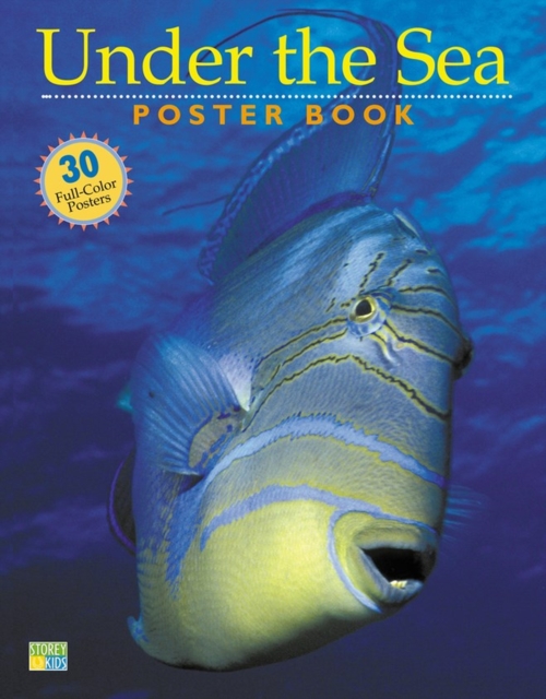 Under the Sea Poster Book, Paperback / softback Book