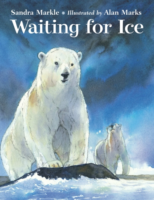 Waiting for Ice, Hardback Book