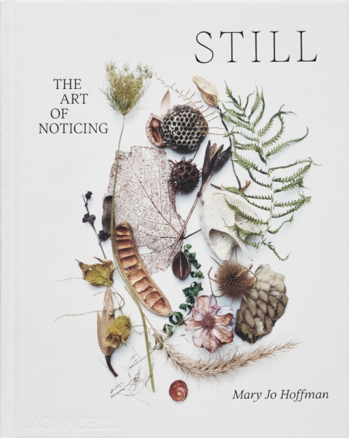 STILL : The Art of Noticing, Hardback Book
