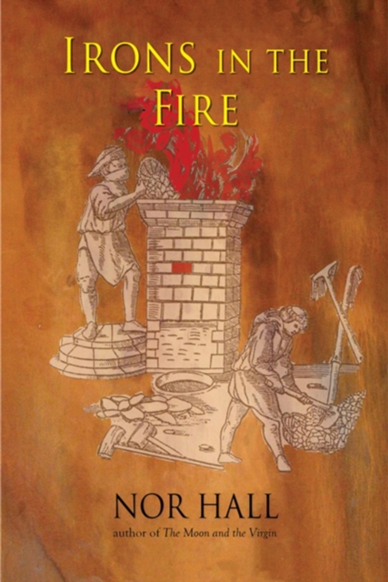 Irons in the Fire, Paperback / softback Book