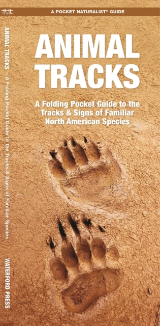 Animal Tracks : A Folding Pocket Guide to the Tracks & Signs of Familiar North American Species, Pamphlet Book