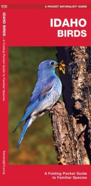 Idaho Birds : A Folding Pocket Guide to Familiar Species, Pamphlet Book