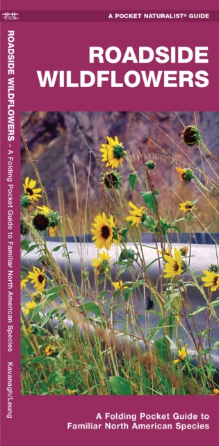Roadside Wildflowers : A Folding Pocket Guide to Familiar North American Species, Pamphlet Book