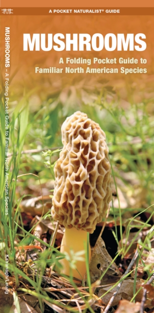 Mushrooms : A Folding Pocket Guide to Familiar North American Species, Pamphlet Book
