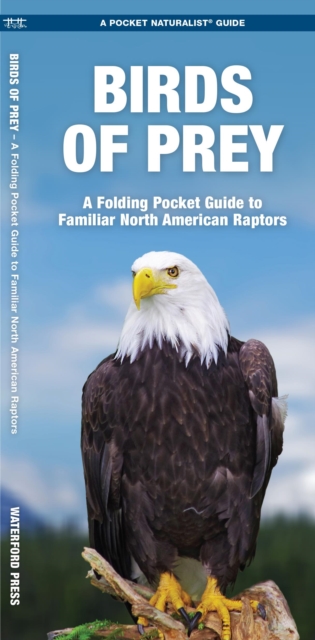 Birds of Prey : A Folding Pocket Guide to Familiar North American Species, Pamphlet Book