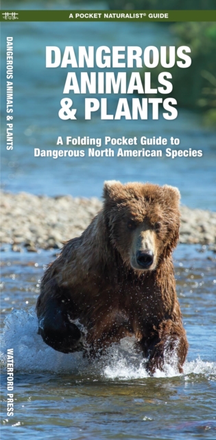 Dangerous Animals & Plants : A Folding Pocket Guide to Dangerous North American Species, Pamphlet Book