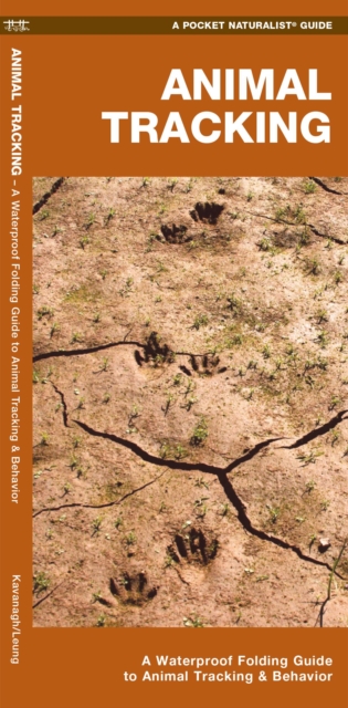 Animal Tracking : A Waterproof Folding Guide to Animal Tracking & Behavior, Pamphlet Book