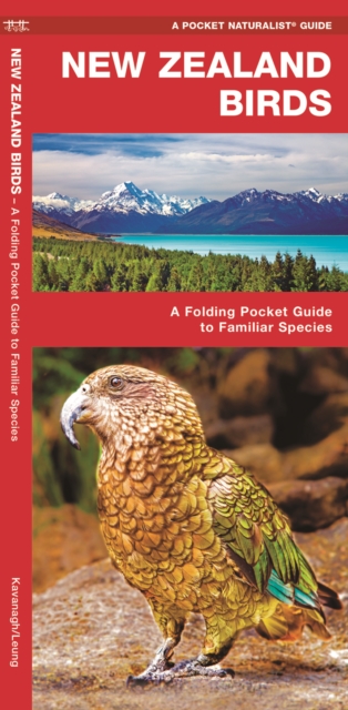New Zealand Birds : A Folding Pocket Guide to Familiar Species, Pamphlet Book