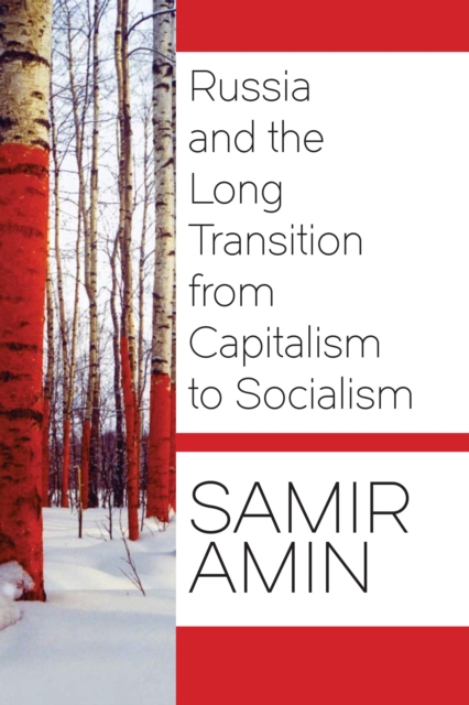 Russia and the Long Transition from Capitalism to Socialism, EPUB eBook