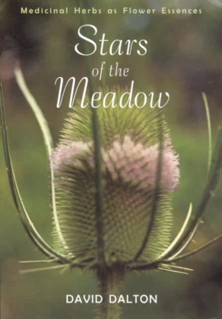 Stars of the Meadow : Medicinal Herbs as Flower Essences, Paperback / softback Book