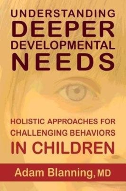 Understanding Deeper Developmental Needs : Holistic Approaches for Challenging Behaviors in Children, Paperback / softback Book