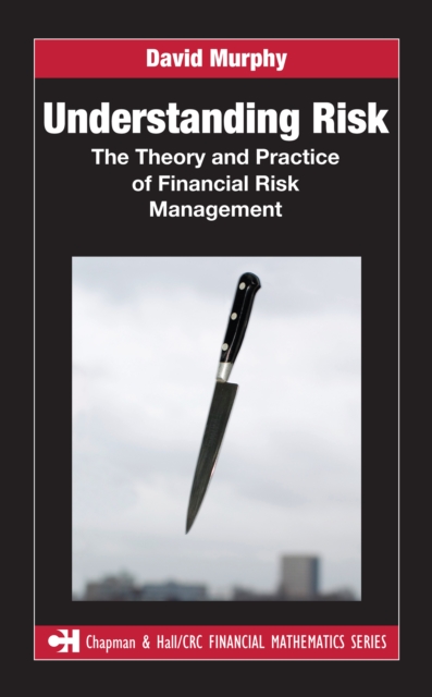 Understanding Risk : The Theory and Practice of Financial Risk Management, PDF eBook