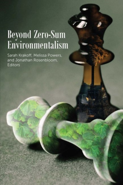 Beyond Zero-Sum Environmentalism, Paperback / softback Book