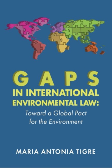 Gaps in International Environmental Law : Toward a Global Pact for the Environment, Paperback / softback Book