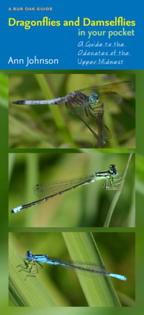 Dragonflies and Damselflies in Your Pocket : A Guide to the Odonates of the Upper Midwest, Sheet map Book