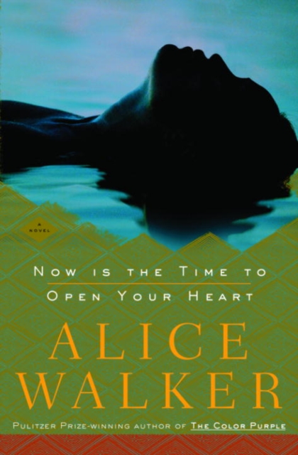 Now Is the Time to Open Your Heart, EPUB eBook