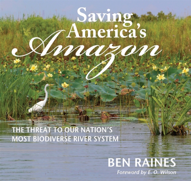 Saving America's Amazon : The Threat to Our Nation’s Most Biodiverse River System, Hardback Book