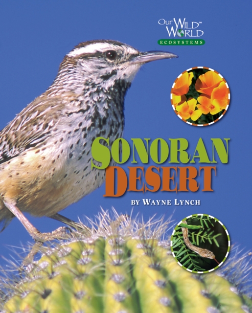The Sonoran Desert, Hardback Book