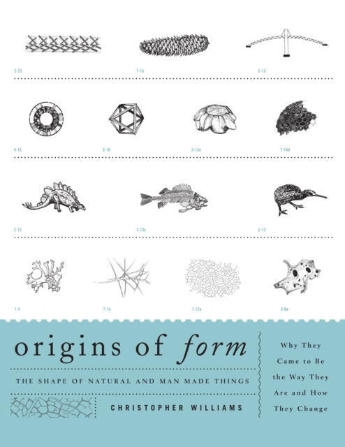 Origins of Form : The Shape of Natural and Man-made Things-Why They Came to Be the Way They Are and How They Change, EPUB eBook